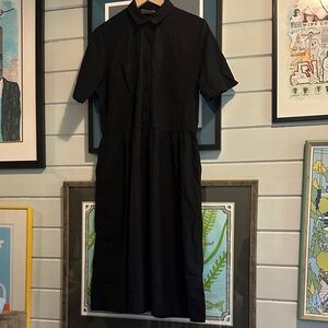 Everlane Parklet shirt dress